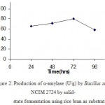 Fig.2. Production of α-amylase (U/g) by Bacillus subtilis NCIM 2724 by solid-state fermentation using rice bran as substrate.