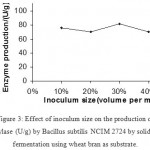 Fig.3. Effect of inoculum size on the production of α-amylase (U/g) by Bacillus subtilis NCIM 2724 by solid-state fermentation using wheat bran as substrate.