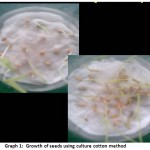 Plate 1: Growth of seeds using culture cotton method.