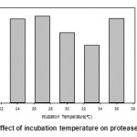 Figure 2: Effect of incubation temperature on protease activity.