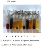 Figure 3: Results showing the phytochemical investigation of C.coriaria.