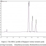Figure 2: The HPLC profile of Rajapuri variety turmeric peak showing Curcumin, Demethoxycurcumin, Bisdemethoxycurcumin.