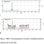 Figure 1: HPLC chromatograms of vitamin C standard solution (A) and broccoli extract (B).