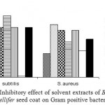 Figure 1: Inhibitory effect of solvent extracts of Borassus flabellifer seed coat on Gram positive bacteria.