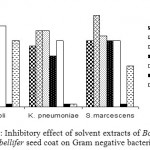 Figure 2: Inhibitory effect of solvent extracts of Borassus flabellifer seed coat on Gram negative bacteria.