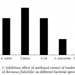 Figure 3: Inhibitory effect of methanol extract of tender seed coat of Borassus flabellifer on different bacterial species