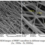 Figure 2: SEM images of PHBV nanofibers in different magnifications (2a ; 5000x - 2b; 20000x.)