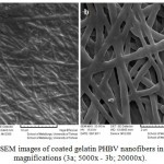 Figure 3: SEM images of coated gelatin PHBV nanofibers in different magnifications (3a; 5000x - 3b; 20000x).