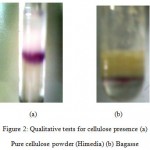 Figure 2: Qualitative tests for cellulose presence (a) Pure cellulose powder (Himedia) (b) Bagasse.