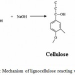 Figure 3: Mechanism of lignocellulose reacting with NaOH.