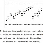 Figure 7: Developed thin layer chromatogram over a cellulose layer,(La – Lactose, So – Sorbose, Ar- Arabinose, Rh – Rhamnose, Ri – Ribose, Xy-Xylose, Gal – Galactose, Gl - Glucose, Man – Mannose, Fr - Fructose, Su – Sucrose and Mal –Maltose).