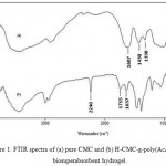 Figure 1: FTIR spectra of (a) pure CMC and (b) H-CMC-g-poly(AcA-co-AN) biosuperabsorbent hydrogel.