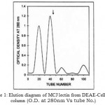 Figure 1: Elution diagram of MCJ lectin from DEAE-Cellulose column.