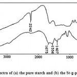 Figure 1: FTIR spectra of (a) the pure starch and (b) the St-g-poly(AN) copolymer.