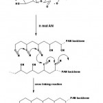 Scheme 1: Proposed mechanism for graft copolymer of acrylonitrile on to starch.