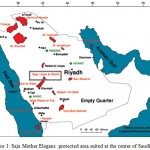 Figure 1: Saja Mother Elegans protected area suited at the center of Saudi Arabia.