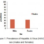 Figure 1: Prevalence of Hepatitis A Virus (HAV) by sex (males and females).