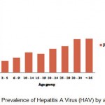 Figure 4: Prevalence of Hepatitis A Virus (HAV) by age group.
