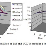 Figure 2: simulation of TSS and BOD in sections 1 to 5 at fifteenth day (mg/l).