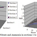 Figure 4: simulation of Nitrate and Ammonia in sections 1 to 5 at fifteenth day (mg/l).