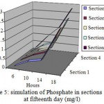 Fig 5: simulation of Phosphate in sections 1 to 5 at fifteenth day (mg/l).