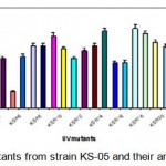 Figure 1.2: UV mutants from strain KS-05 and their amylase productivity.