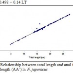 Figure 10: Relationship between total length and anal fin base length (AA’) in N. japonicus.