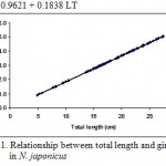 Figure 11: Relationship between total length and girth (g) in N. japonicus.