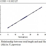 Figure 12: Relationship between total length and anal fin height (Ah) in N. japonicus.