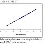 Figure 14: Relationship between total length and dorsal caudal fin length (Ch’) in N. japonicus.