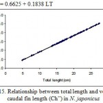Figure 15: Relationship between total length and ventral caudal fin length (Ch”) in N. japonicus.