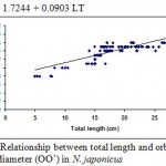 Figure 5: Relationship between total length and orbital diameter (OO’) in N. japonicus.