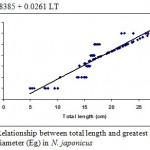 Figure 6: Relationship between total length and greatest pupil diameter (Eg) in N. japonicus