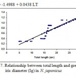 Figure 7: Relationship between total length and greatest iris diameter (Ig) in N. japonicus.