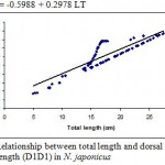Figure 8: Relationship between total length and dorsal fin base length (D1D1) in N. japonicus.