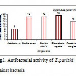 Figure 1: Antibacterial activity of Z .parishi against bacteria.