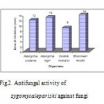 Figure 2: Antifungal activity of zygomycaleparishi against fungi.