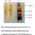 Figure 3: Protein profiling of Z. parishiwith two solvent extracts (Lane1-Aqueous and Lane2- methanol,M-Marker) by SDS-PAGE analysis.