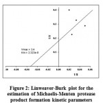 Figure 2: Linweaver-Burk plot for the estimation of Michaelis-Menten protease product formation kinetic parameters.