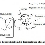 Figure 2: Expected ESI/MS/MS fragmentation of compound 1.