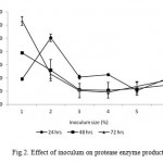 Figure 2: Effect of inoculum on protease enzyme production.