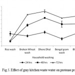 Figure 5: Effect of gray kitchen waste water on protease production.