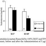 Figure 3: T Concentration in mature Rams fed by 100% (M-F) and 50% (M-NF) of their daily food requirement, before and after the Administration of 5 μg/kg BW Ghrelin.