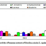 Figure 2b: Antibacterial activity of benzene extracts of Gmelina asiatica L. against pathogenic bacteria.