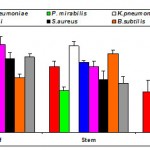 Figure 2d: Antibacterial activity of ethanol extracts of Gmelina asiatica L. against pathogenic bacteria.