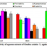 Figure 2f: Antibacterial activity of aqueous extracts of Gmelina asiatica L. against pathogenic bacteria.