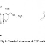 Figure 1: Chemical structures of CEF and ORD.