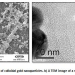 Figure 1: a An SEM image of colloidal gold nanoparticles. b) A TEM image of a single gold nanoparticle.