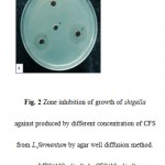 Figure 2 Zone inhibition of growth of shigella against produced by different concentration of CFS from L.fermentum by agar well diffusion method. a: MRS(100 μl/ml), b: CFS(10 μl/ml),c:CFS(50 μl/ml), d: CFS(100 μl/ml).