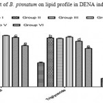 Figure 1: Effect of aerial part of B. pinnatum on lipid profile in DENA induced hepatotoxicity in rats.